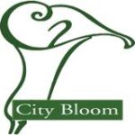 city-bloom-logo-for-web-c7e7e13f